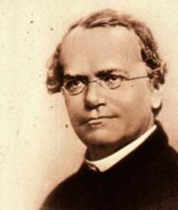 Gregor Mendel, considered the father of genetics.