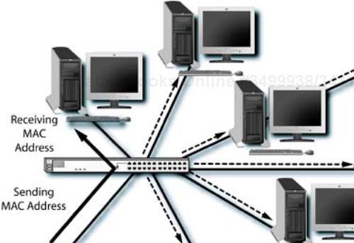 Ethernet hub and attached LAN segments