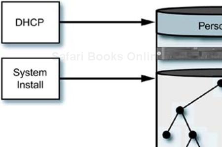 System personality and structure