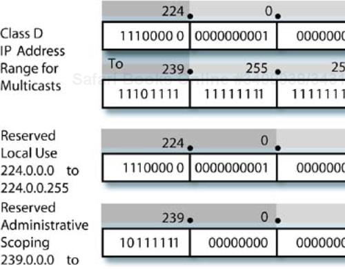 TCP multicast address formats