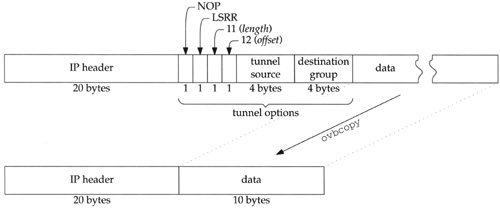Multicast tunnel options.