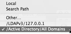 Choosing the bound Active Directory domain from the list.