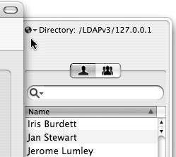 Selecting the LDAP domain from the Users and Groups domain list.