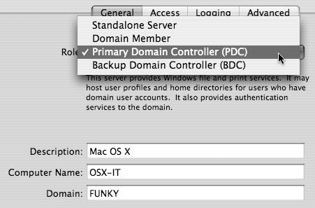 Choose Primary Domain Controller from the Role menu.