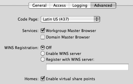 Checking these boxes allows your Mac OS X Server to become a workgroup master browser and/or domain master browser.