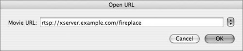 Enter the information from the QuickTime Broadcaster Location in the Open URL QuickTime Player dialog.