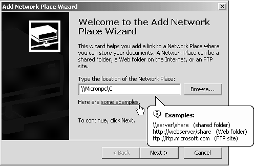 If you're having trouble creating a new My Network Place icon, click the some examples link; you're shown some examples of location codes that the Add Network Place Wizard will understand.