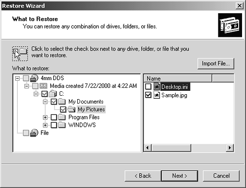 The Restore Wizard's What To Restore page is similar in format to Windows Explorer, except that it displays only the contents of a particular backup tape or disk. You can select from the backup tapes, disks, or files you've created, or click the Import File button to read the contents of a backup file you created on another Windows 2000 system.