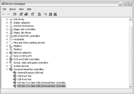 Device Manager lists two USB controllers