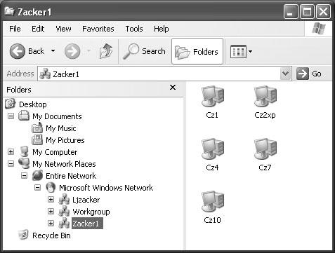 When you open a Windows Explorer window and expand the My Network Places and Microsoft Windows Network icons, you see an icon for each workgroup on the network (see Figure 19-4). You can browse through the computers in a domain and access their shared folders (if you have the appropriate permissions) just as you would those of a workgroup. On a large network, you’ll just see a lot more computers.