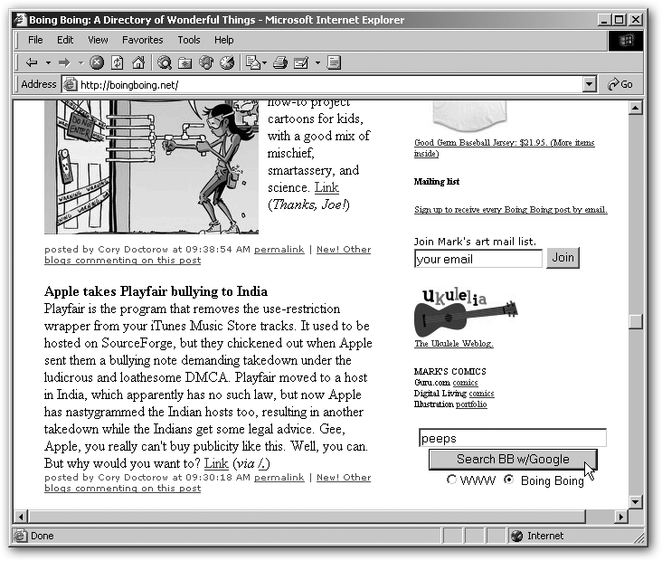 The GoogleBox on www.boingboing.net lets visitors search simply by typing in their terms and picking whether they’d like Google to scour the entire Web or just the BoingBoing site.