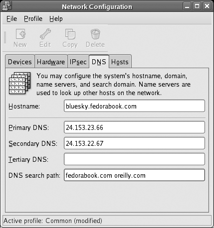 DNS tab