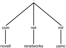 Viewing a sample DNS hierarchy.