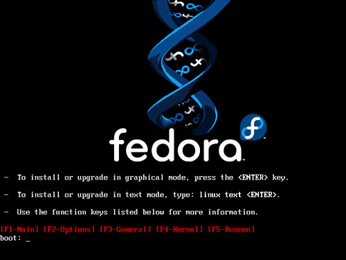 Select an installation option in this first Fedora boot screen.