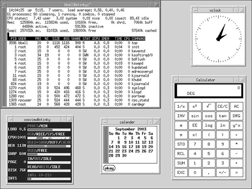 The Motif Window Manager provides a simple desktop for Fedora.