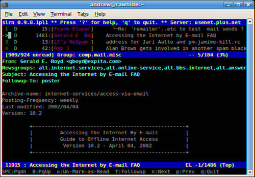 A slrn article display example showing a posted message about a FAQ for Internet mail.