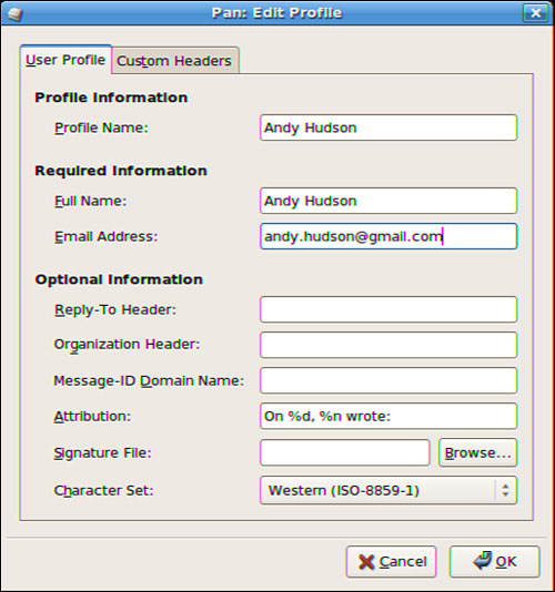 The Pan news server configuration window.