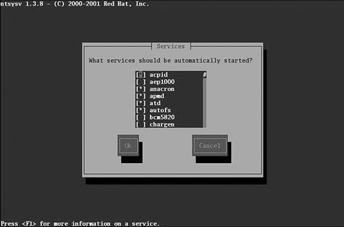 Use the setup command’s System Services item to access the ntsysv command.