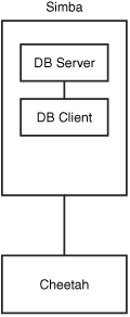 The user logs in to the database server located on host simba from the workstation (host cheetah). The database client is running on simba.