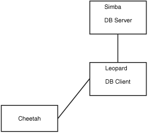 The user logs in to the remote host leopard from the workstation (host cheetah) and starts a database client on leopard. The client on leopard then connects to the database server running on host simba. The database client is running on leopard.