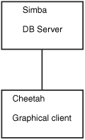 The user starts a GUI database program on his workstation (hostname cheetah). This program, which is the database client, then connects to the database server running on the host lion.