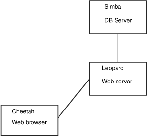 The user accesses the database through the World Wide Web. The front end is the user’s web browser, the client is running on leopard, and the server is running on simba.