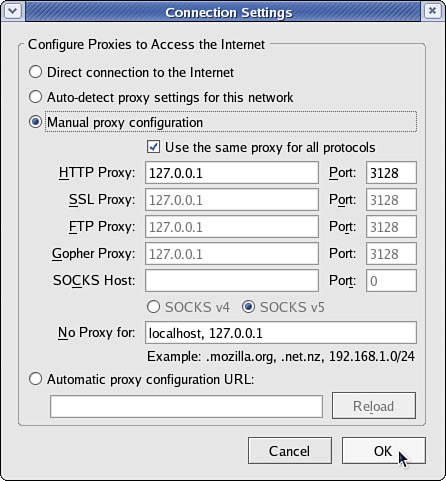 Setting up Firefox to use 127.0.0.1 routes all its web requests through Squid.