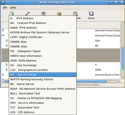 Use system-config-bind to add a new DNS record to your server or edit the existing settings.