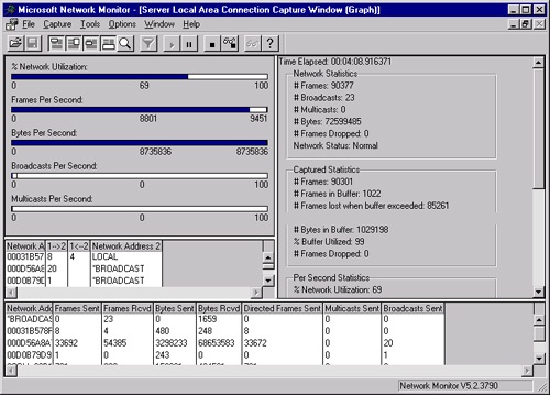 The Capture window in Network Monitor