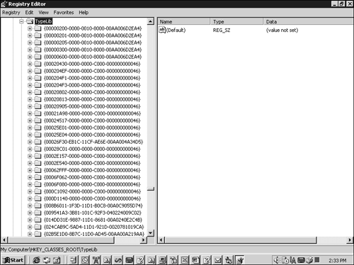 The section of the Registry where type libraries are listed (HKEY_CLASSES_ROOT TypeLib).