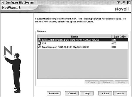 Step 12: Installing the NetWare server file system.