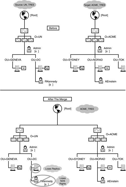 eDirectory Import/Export Wizard advanced options.