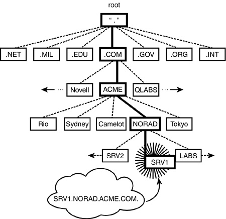 The upside-down DNS tree.