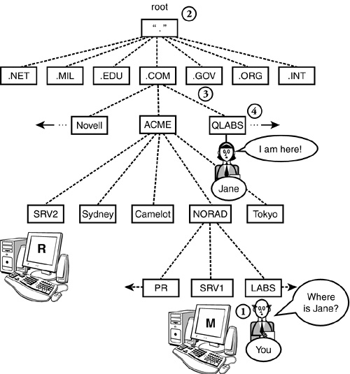 Resolving IP addresses using DNS.