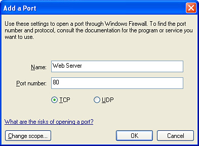 Adding an exception for a Web server.