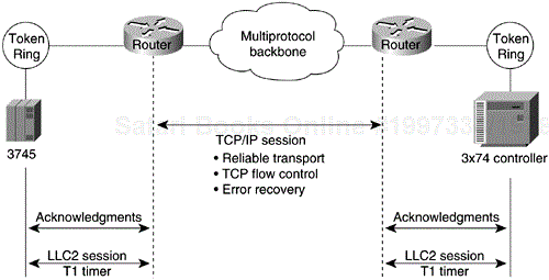 Local-Session Termination Over Multiprotocol Backbone