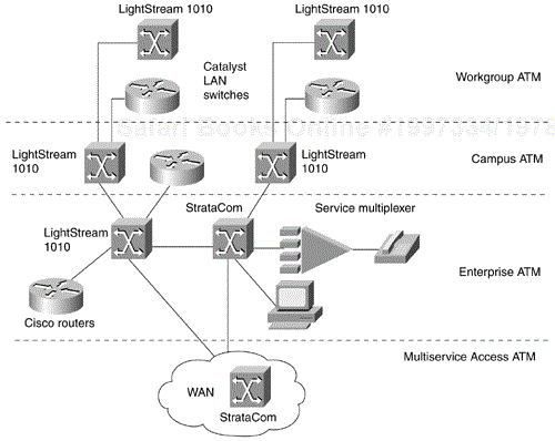The Role of ATM Switches in a Network