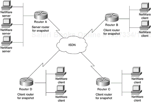 Topology of the Novell IPX Network