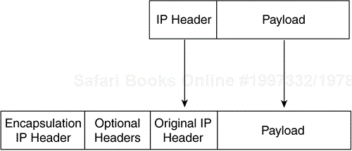 IP Packet Encapsulation