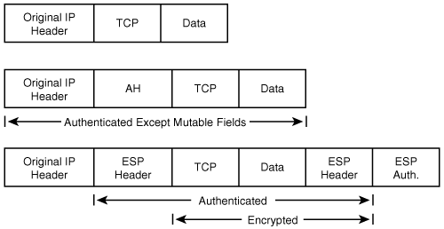 IP Packet in IPSec Transport Mode