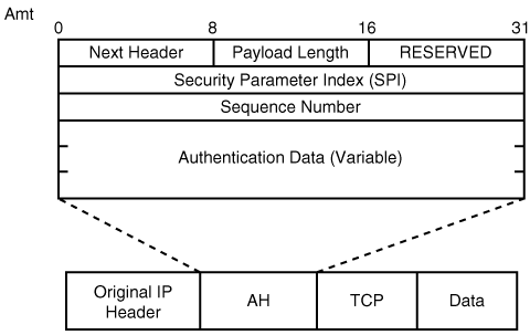 IP Packet Protected by AH