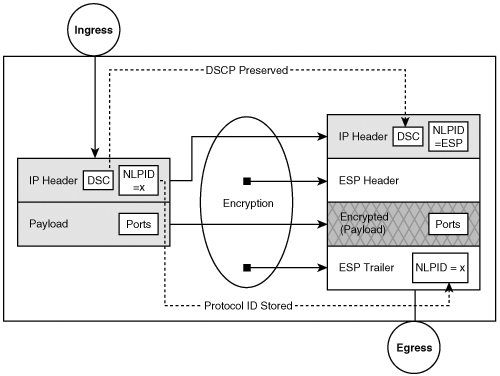 IPSec Transport Mode QoS Attribute Preservation