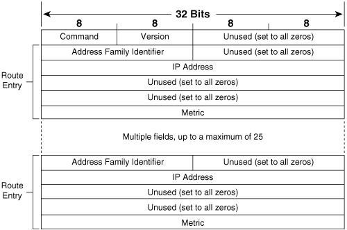 The RIP message format.