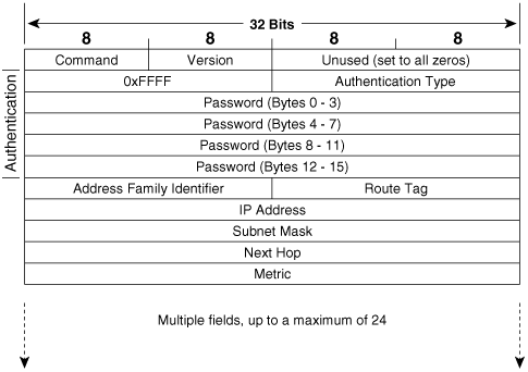 The RIPv2 authentication information, when configured, is carried in the first route entry space.