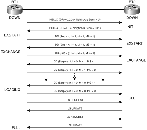 The link-state database synchronization process and associated neighbor states.