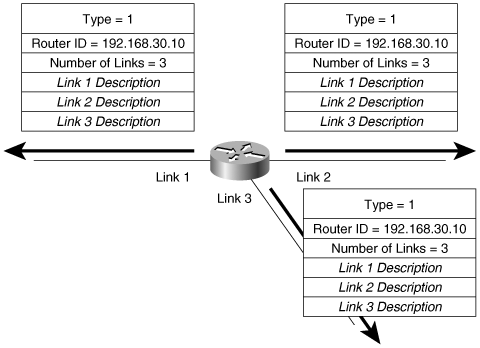 The Router LSA describes all of a router’s interfaces.