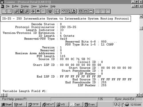 This analyzer capture shows the header of an L1 CSNP.