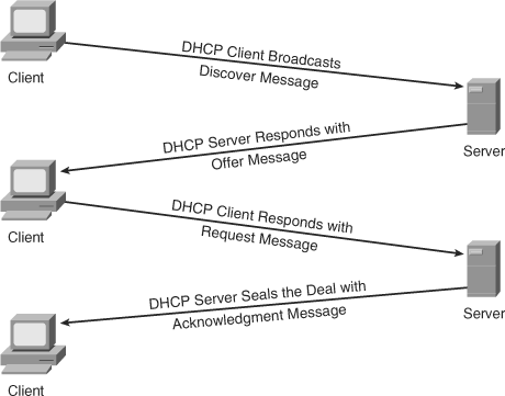 DHCP Operation