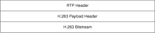 H.263 RTP Packet