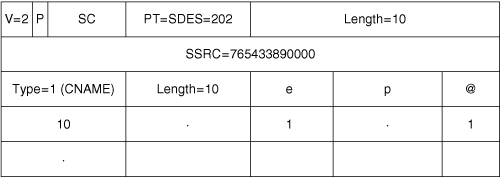 RTCP CNAME Packet